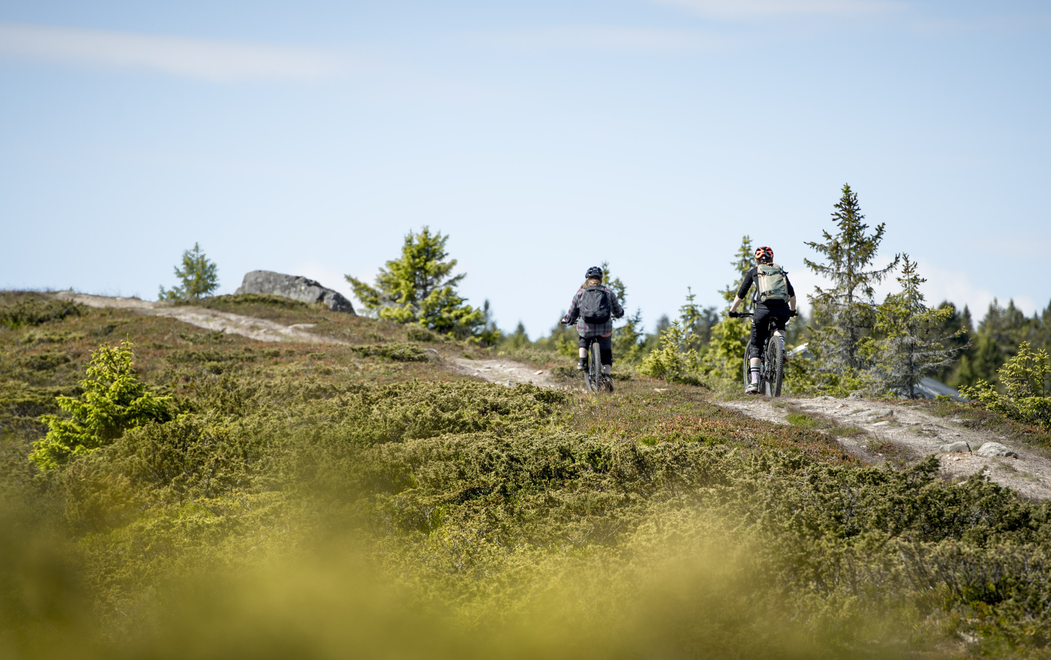 Favn Bike Rental | Hafjell