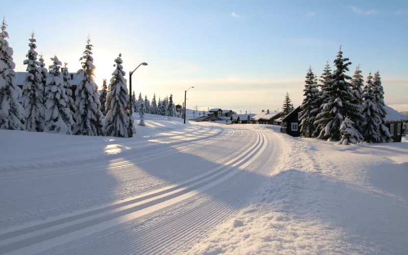 Langrenn løypenettverk