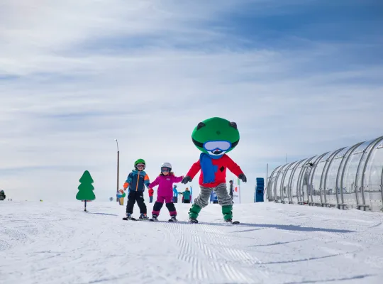 Familieområder i Hafjell