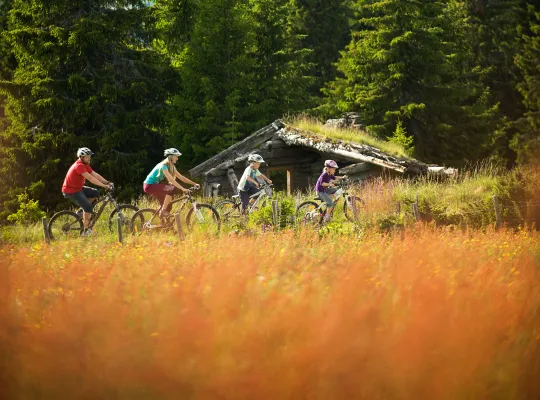 høst i hafjell