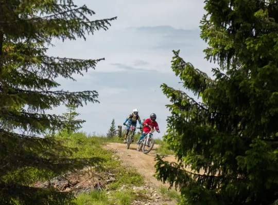 sykling i Hafjell Bike Park